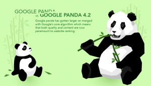 google panda