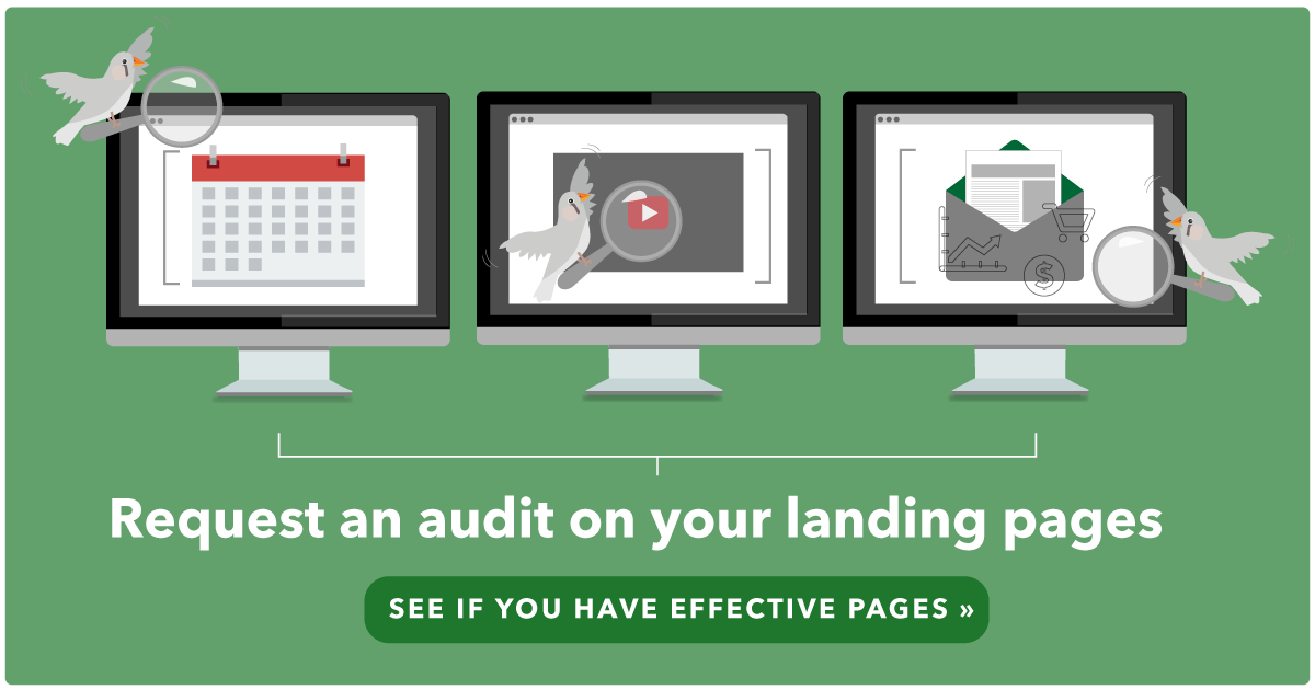 Landing Page Audit